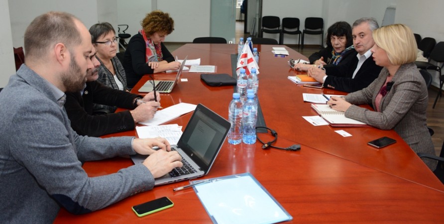 Public Defender Meets Members of Council of Europe Delegation