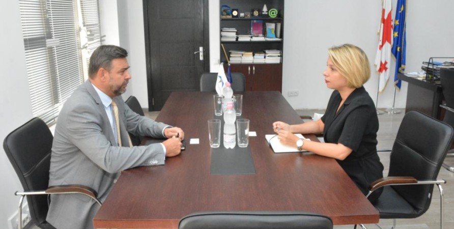 Public Defender's Meeting with Ambassador of the Czech Republic
