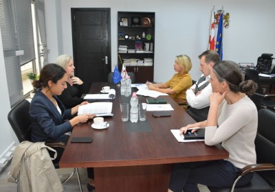 Public Defender Meets with Representatives of OSCE Office for Democratic Institutions and Human Rights