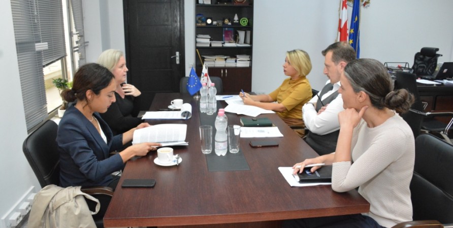 Public Defender Meets with Representatives of OSCE Office for Democratic Institutions and Human Rights