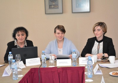 Meeting of the Consultative Council on the Convention on the Rights of Persons with Disabilities