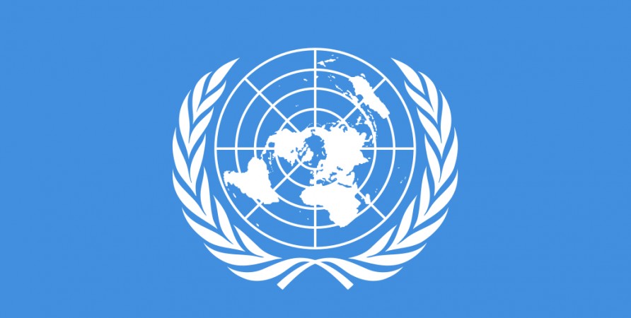 Public Defender Invites UN Special Rapporteur on Environment and Human Rights to Georgia