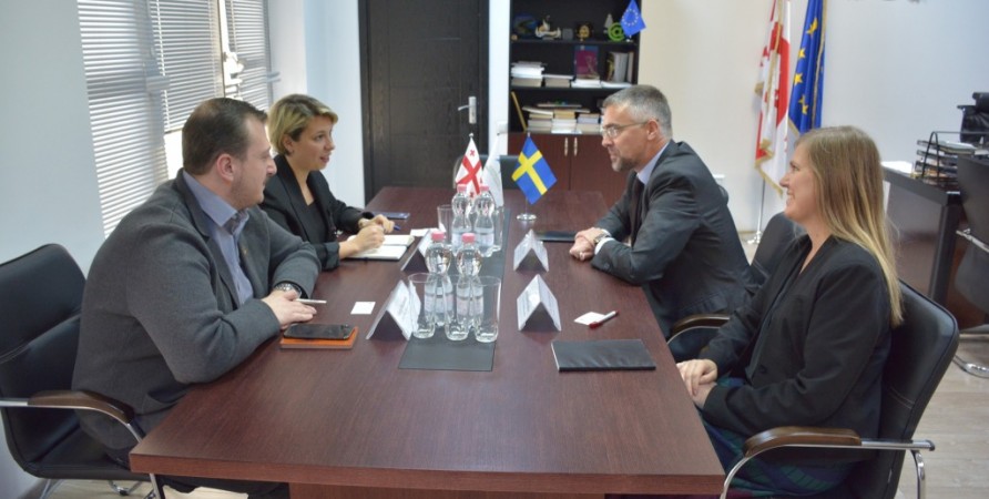 Public Defender Meets with Ambassador of Sweden