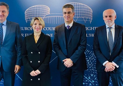 შეხვედრა ადამიანის უფლებათა ევროპული სასამართლოს პრეზიდენტთან