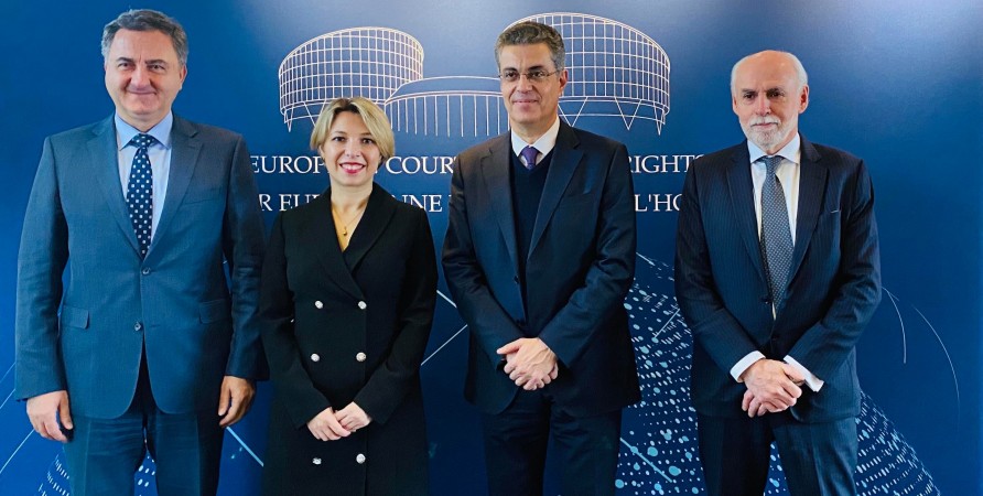 შეხვედრა ადამიანის უფლებათა ევროპული სასამართლოს პრეზიდენტთან