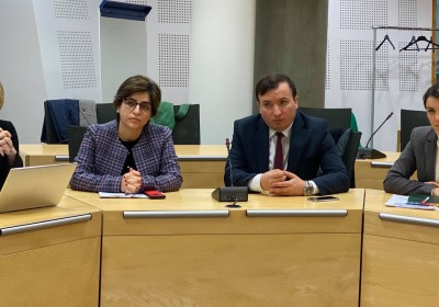 Public Defender’s Meeting with Executive Secretary of Council of Europe’s Steering Committee on Media and Information Society