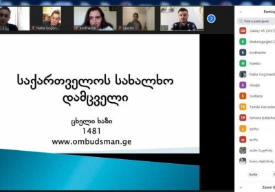 Online Meeting with Specialists of Day Care Centers for Persons and Children with Disabilities