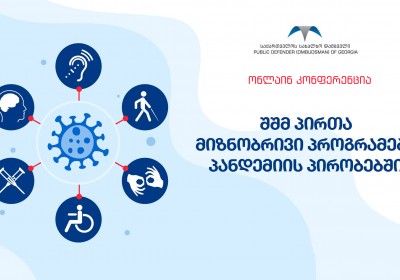 Online Conference on Targeted Programmes for Persons with Disabilities during Pandemic