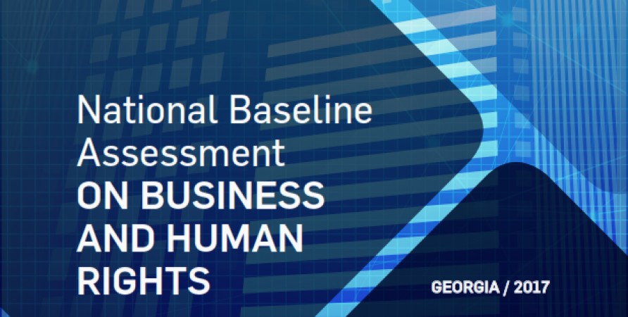 Conduct of the National Baseline Assessment (NBA) on Business and Human Rights