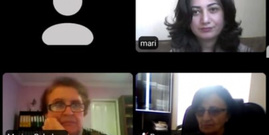 Online Meetings with Members of Gender Equality Council of Marneuli and Bolnisi Municipalities