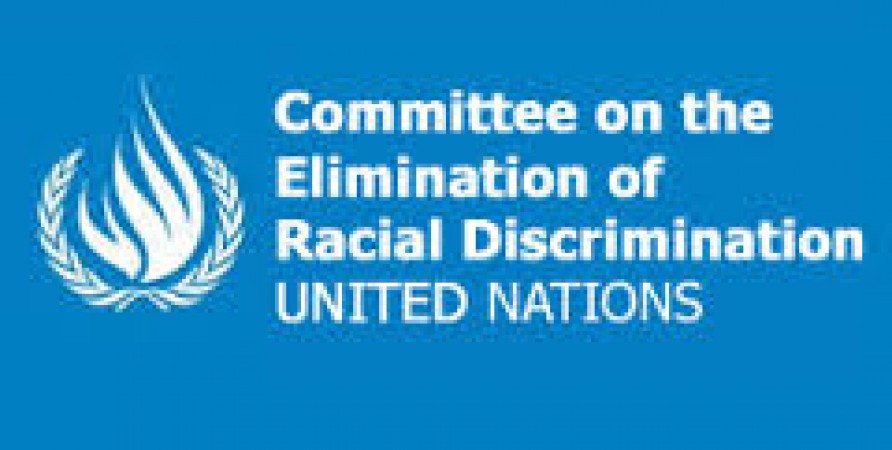 Public Defender of Georgia Submits Alternative Report to UN Committee on Elimination of Racial Discrimination