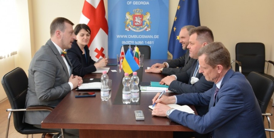 Deputy Public Defender of Georgia Meets with Vice-Minister of Foreign Affairs of Lithuania