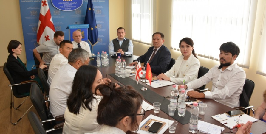 Employees of Public Defender’s Office Share Experience with National Preventive Mechanism of Kyrgyzstan