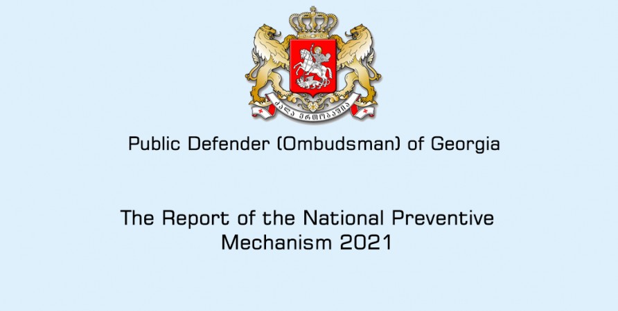 The Report of the National Preventive Mechanism 2021