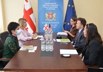 Public Defender Meets with Director of USAID Caucasus Mission 