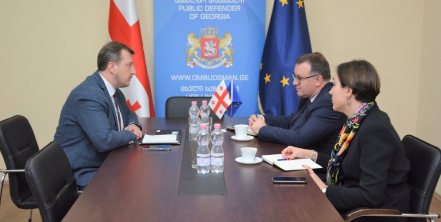 Deputy Public Defender Meets with Representatives of Department for Execution of Judgments of European Court of Council of Europe