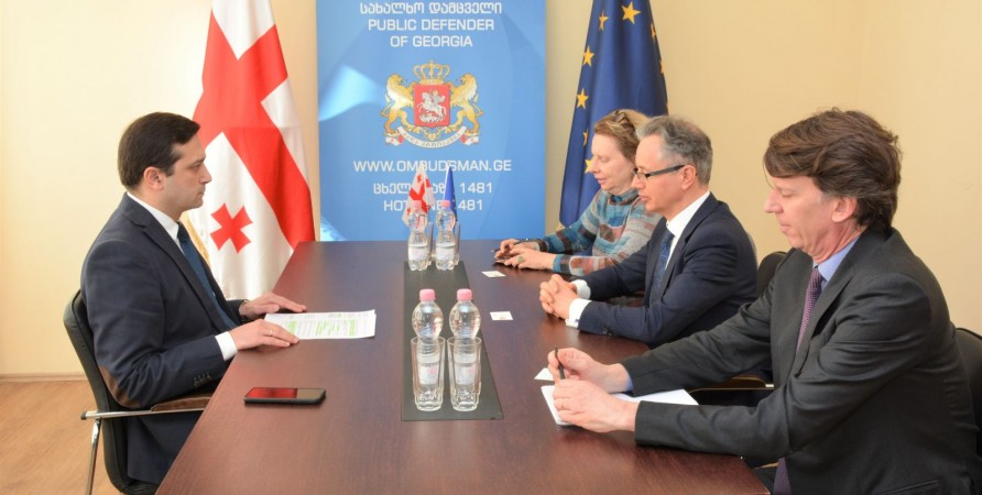 Public Defender Meets with Director of Programme Coordination Directorate of Council of Europe