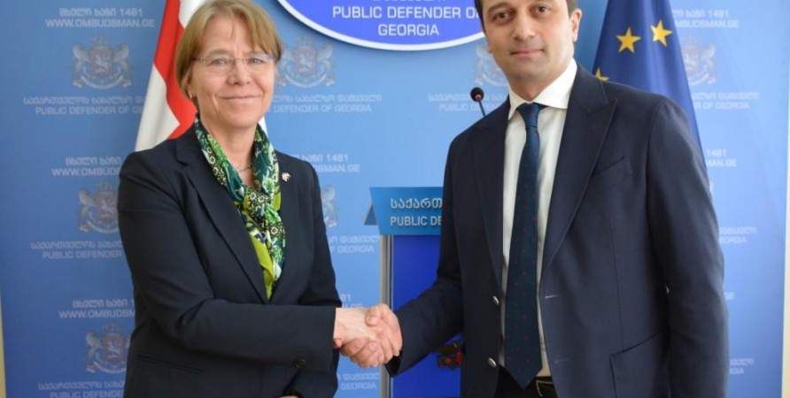 Public Defender Meets with Ambassador of Kingdom of Netherlands