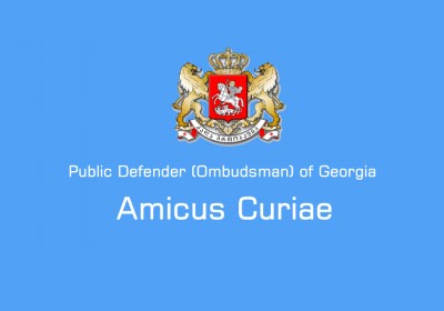 Public Defender Files Amicus Curiae Brief relating to Alleged Disability-Based Discrimination 