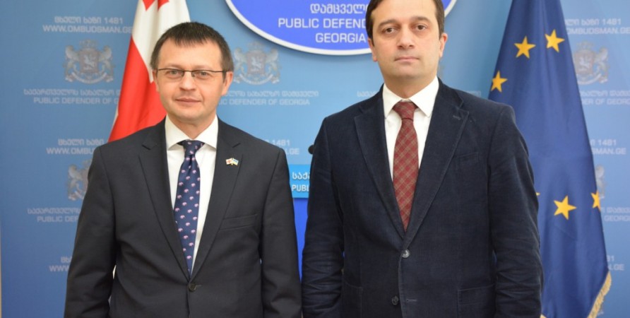 Public Defender Meets with Ukraine's Chargé d'Affaires