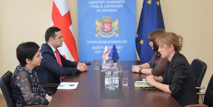 Meeting with Deputy Minister of IDPs from Occupied Territories, Labour, Health and Social Affairs