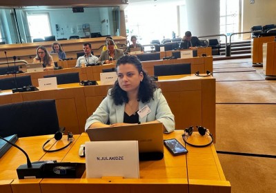 Deputy Public Defender Delivers Speech at EU-Georgia Parliamentary Association Committee Session