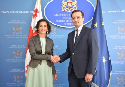 Public Defender Meets with Minister of Foreign Affairs, European Affairs and Foreign Trade, and the Federal Cultural Institutions of the Kingdom of Be ...