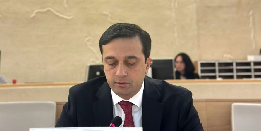 Public Defender Delivers Speech in UN Human Rights Council 