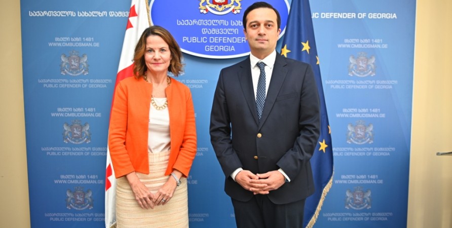Public Defender Meets with US Ambassador to Georgia