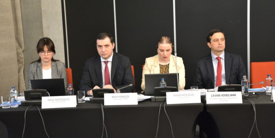 Council of Europe Project "Strengthening Protection of Social and Economic Rights in Georgia"