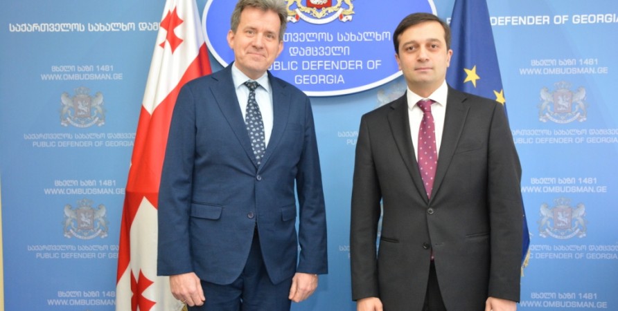 Public Defender Meets with UNICEF Representative in Georgia