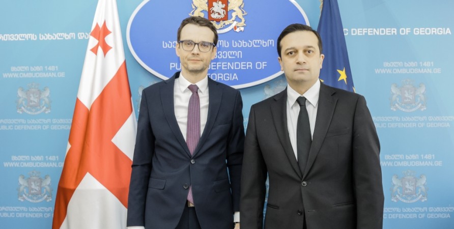 Public Defender Meets with Slovak Ambassador
