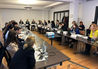 Deputy Public Defender Takes Part in Presentation of Action Plan of CeE Project