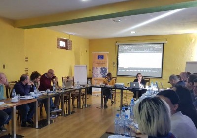 Working Meeting on the Improvement of Tools for Monitoring the Rights Situation of Prisoners with Mental Health Problems