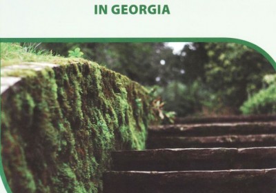 Report on Conditions in Psychiatric Establishments in Georgia