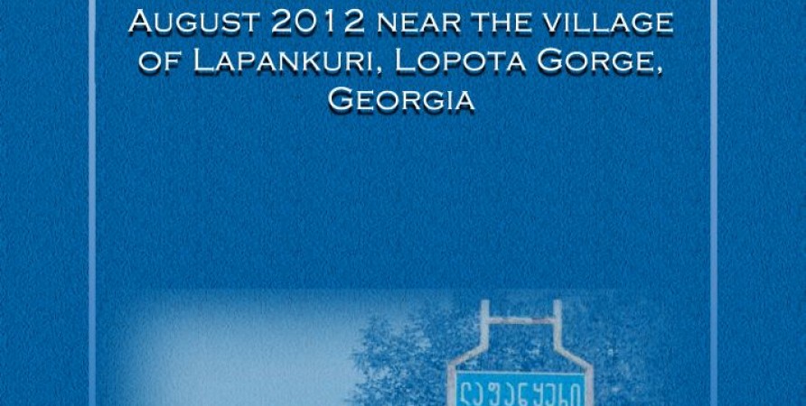 Report of the Public Council at the Public Defender’s Office of Georgia on the Special Operation of 28 August 2012 near the village of Lapankuri, Lopota Gorge, Georgia
