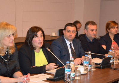 Members of the Council of Ethnic Minorities of the Public Defender met with CEC Chairperson