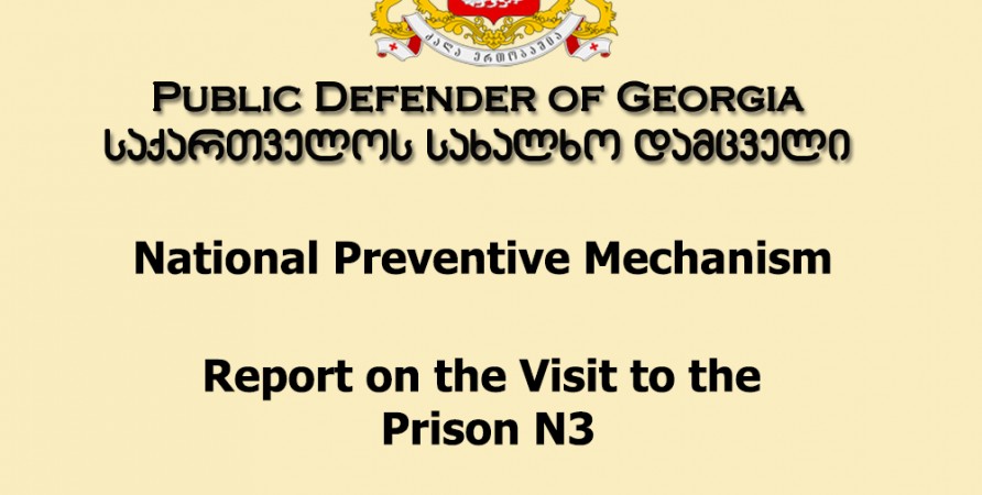 National Preventive Mechanism Report on the Visit to the Prison N3 (23-24 October 2014)