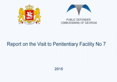 Report on the Visit to Penitentiary Facility No 7 