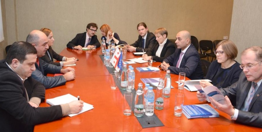 Public Defender Meets Members of Georgia-EU Parliamentary Association Committee