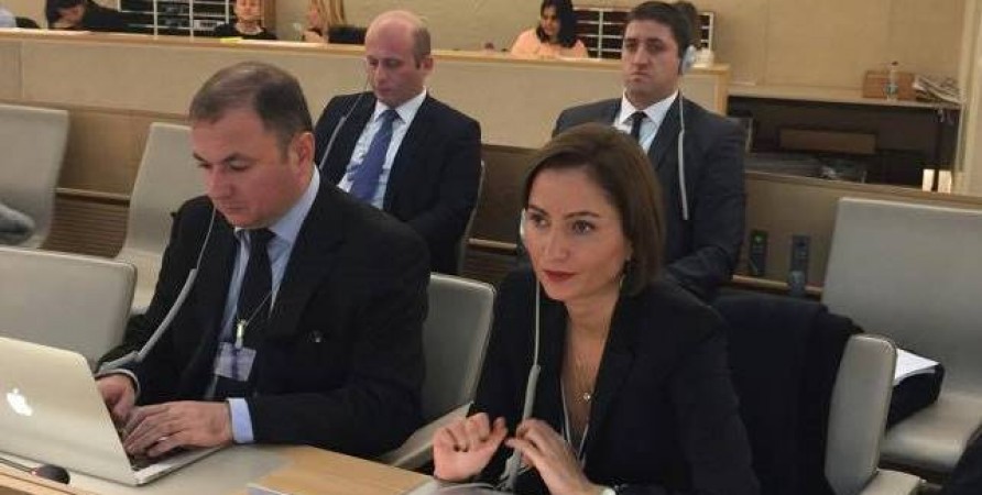 Public Defender’s Delegation Attends United Nations Universal Periodic Review 