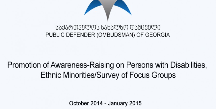 Promotion of Awareness-Raising on Persons with Disabilities, Ethnic Minorities/Survey of Focus Groups