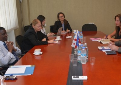Public Defender Meets with UN Special Rapporteur on Human Rights of Internally Displaced Persons