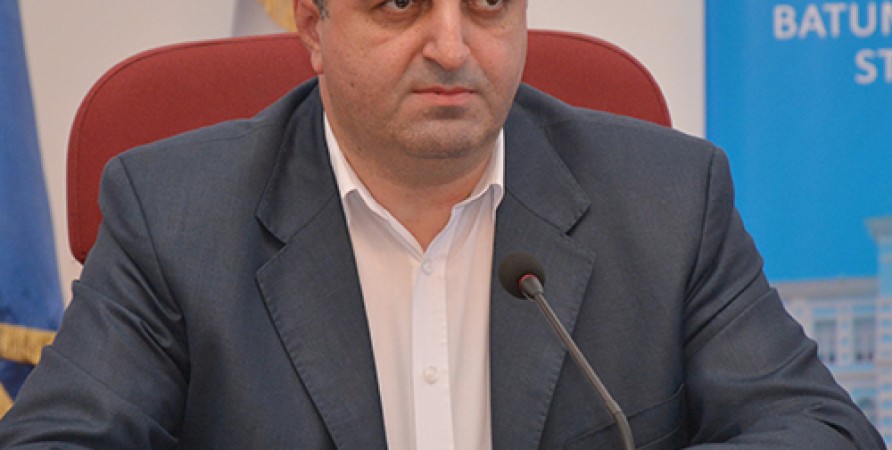 Public Defender’s Amicus Curiae Brief to Rustavi City Court