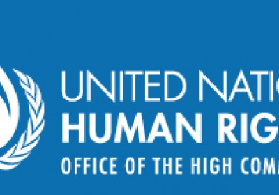 გაეროს ადამიანის უფლებათა უმაღლესი კომისარიატისათვის წარდგენილი ანგარიში ადამიანის უფლებების საბჭოს რეზოლუციის N 34/37 შესაბამისად.  2017