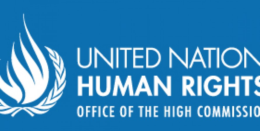 Public Defender Submits Interim Report to UN Committee on Elimination of Discrimination against Women 