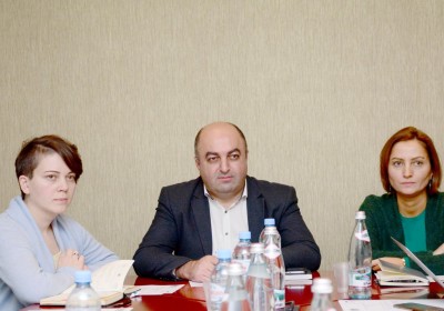 Meeting of Consultative Council of National Preventive Mechanism