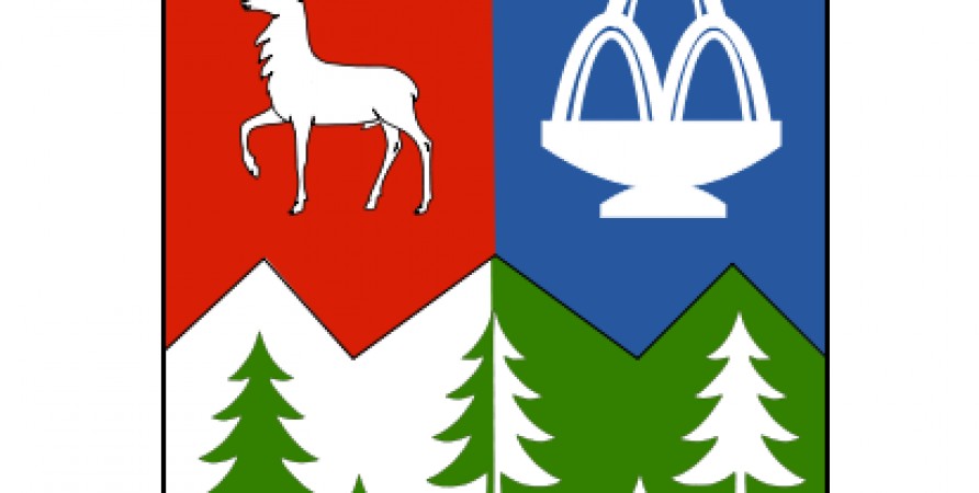 Public Defender Describes Borjomi Municipality’s Program for Newly Married Couples as Discriminatory